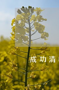 成功清收逾期信用卡 文章 成功清收逾期信用卡 文章
